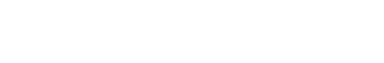 NUEVO DISCO